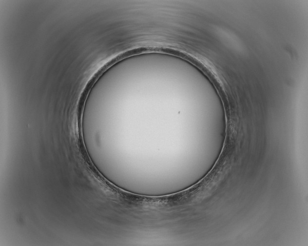 X0000112750887200909031524