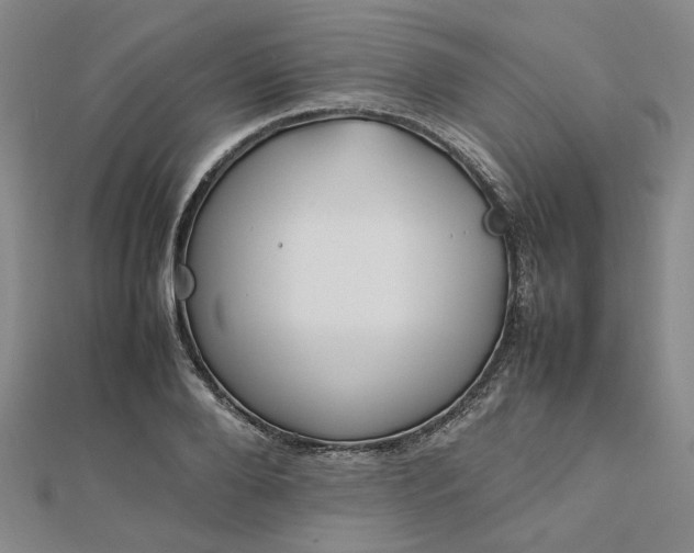 X0000112750888200909031524