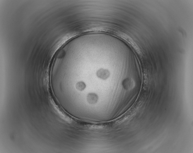 X0000112750890200909031524