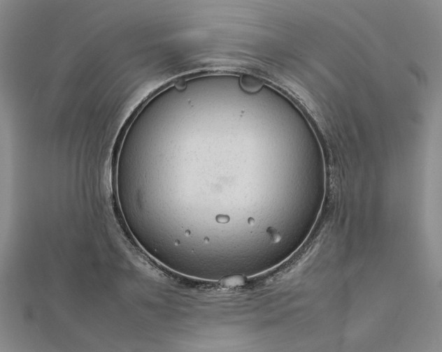 X0000112750891200909031524