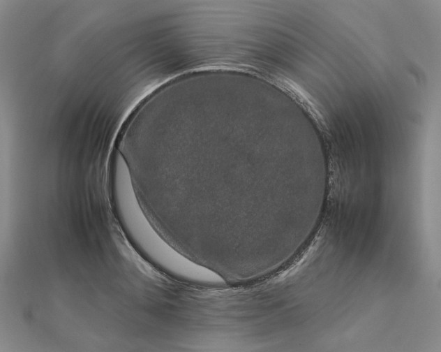 X0000112750892200909031524