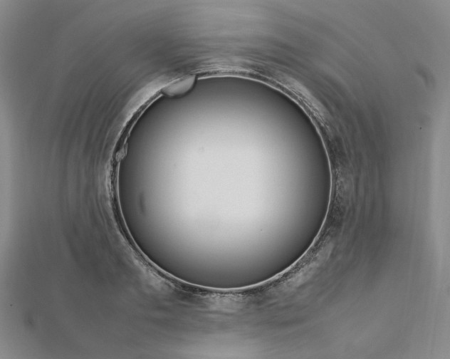 X0000112750893200909031524