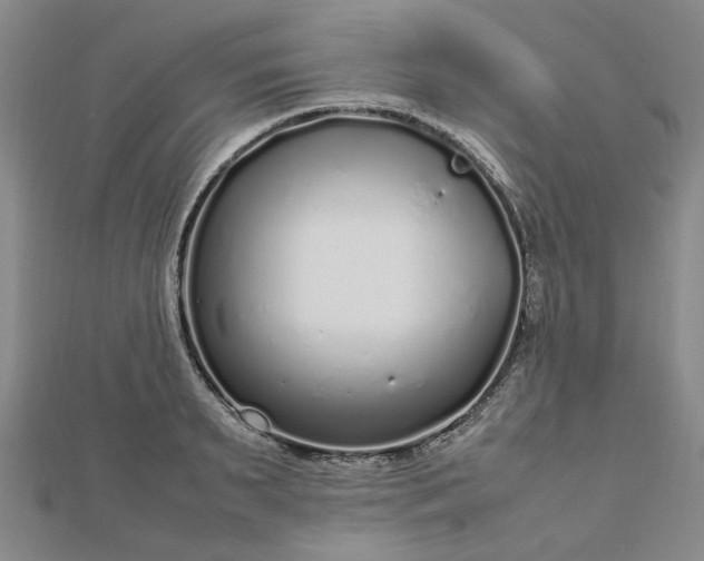 X0000112750895200909031524