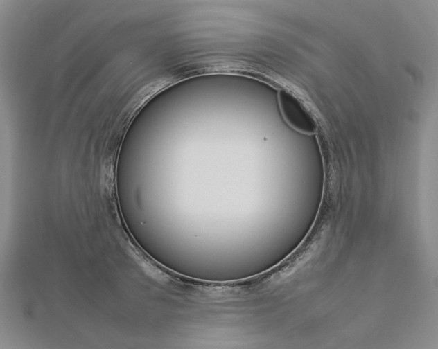 X0000112750897200909031524