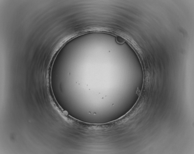 X0000112750898200909031524