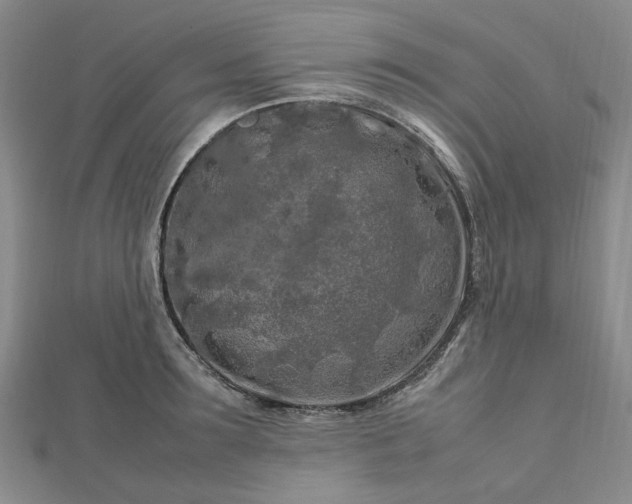 X0000112750899200909031524