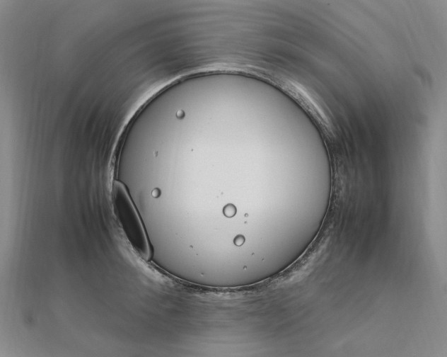 X0000112750900200909031524