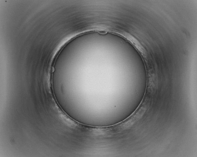 X0000112750904200909031524