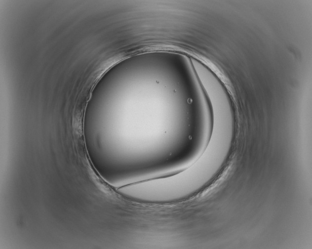 X0000112750905200909031524