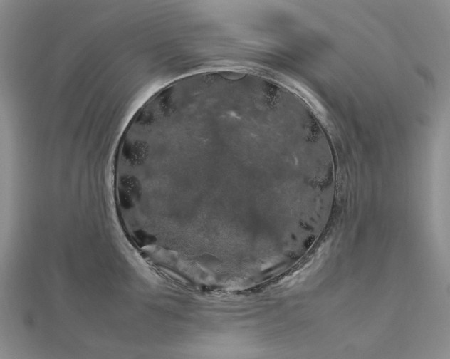 X0000112750907200909031524