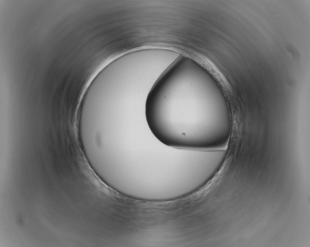 X0000112750908200909031524