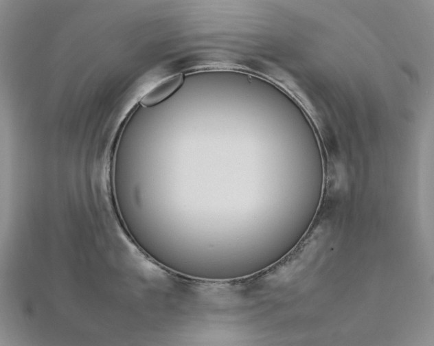 X0000112750909200909031524