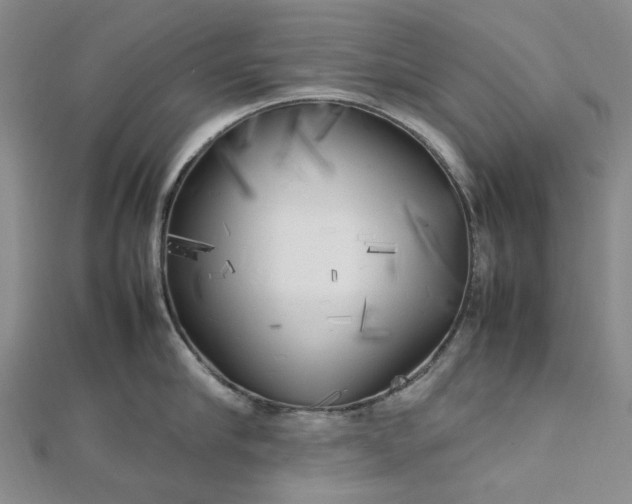 X0000112750910200909031524