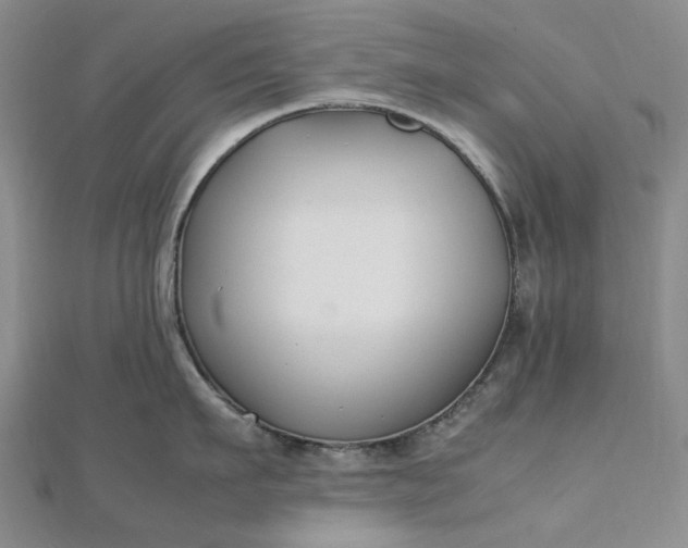 X0000112750911200909031524