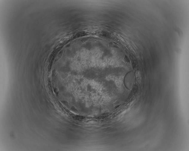 X0000112750913200909031523