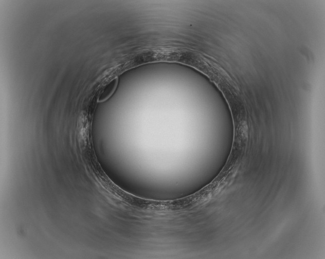 X0000112750914200909031523