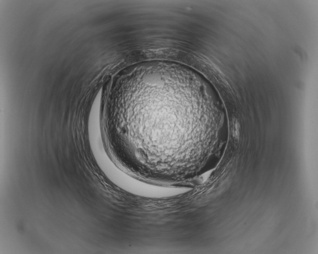 X0000112750915200909031523