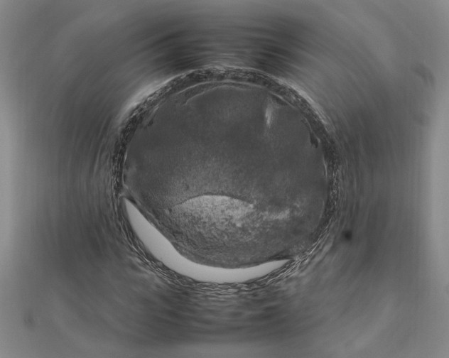 X0000112750919200909031523