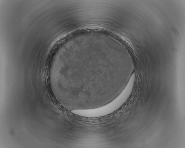 X0000112750920200909031523