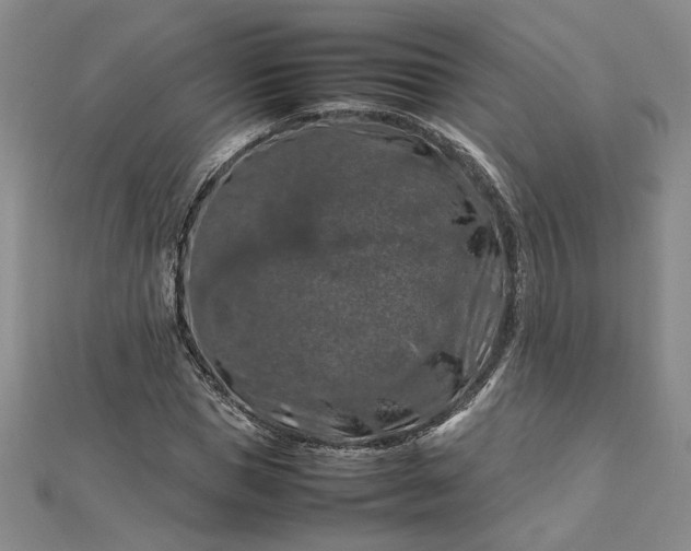 X0000112750921200909031523