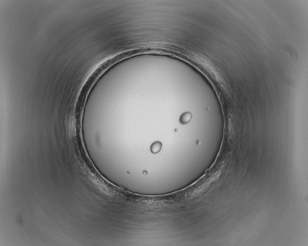 X0000112750924200909031523