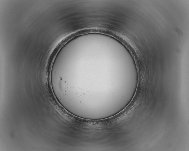 X0000112750927200909031523