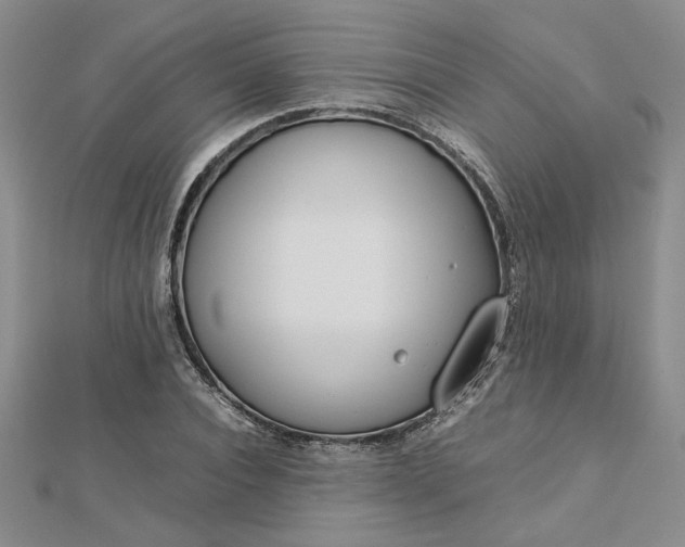 X0000112750928200909031523