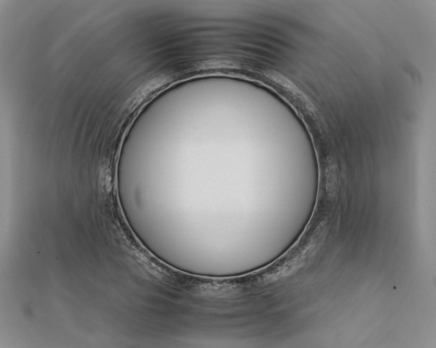 X0000112750929200909031523