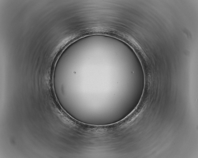 X0000112750930200909031523