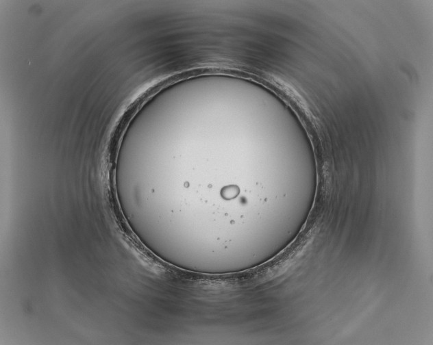 X0000112750931200909031523