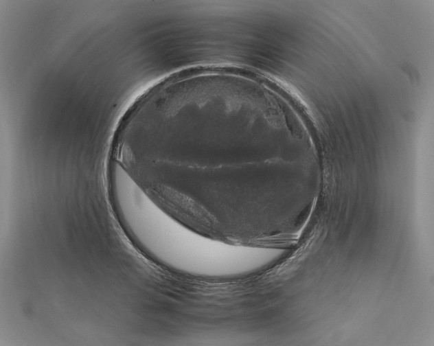 X0000112750935200909031523