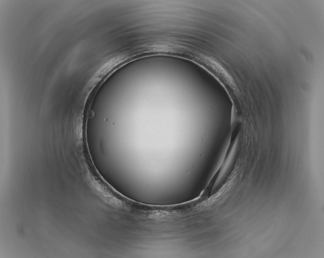 X0000112750938200909031523