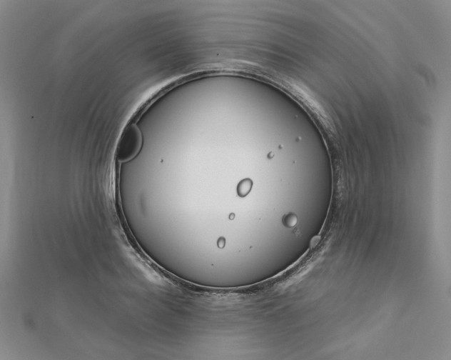 X0000112750940200909031523