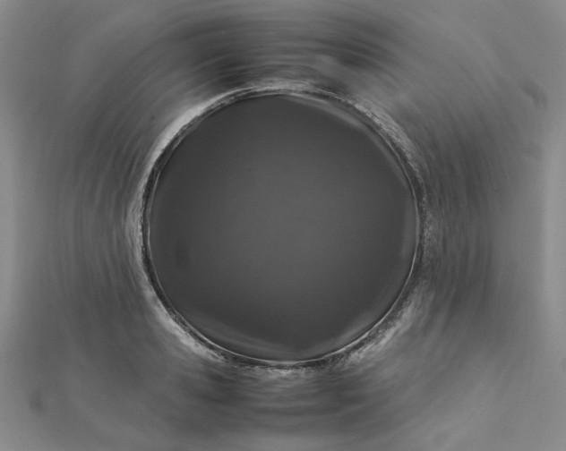 X0000112750941200909031523