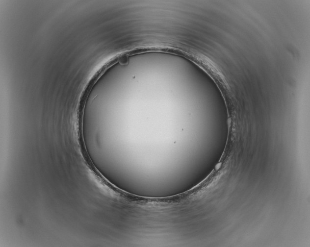 X0000112750942200909031524