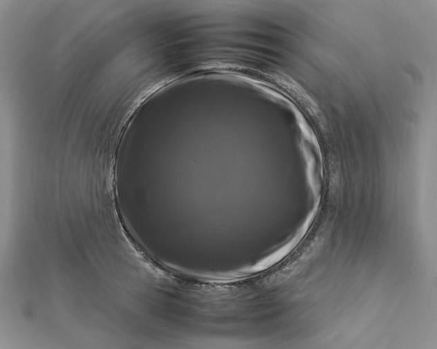 X0000112750945200909031524