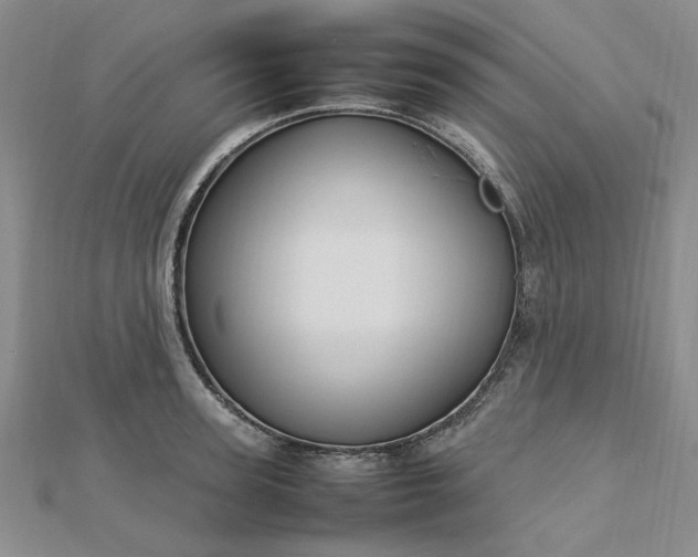 X0000112750947200909031524