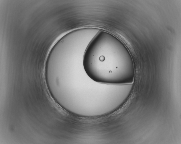 X0000112750948200909031524