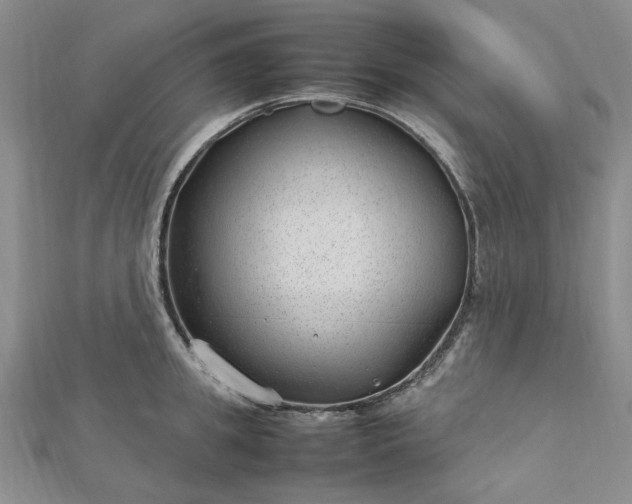 X0000112750949200909031524