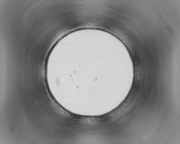 X0000112750950200909031524