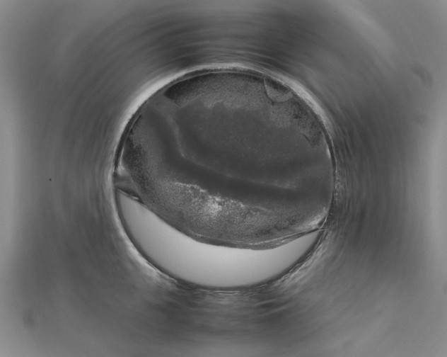 X0000112750951200909031524