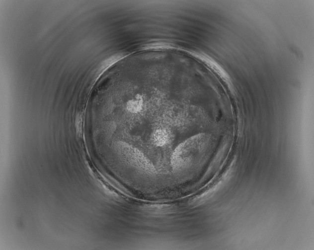 X0000112750953200909031524