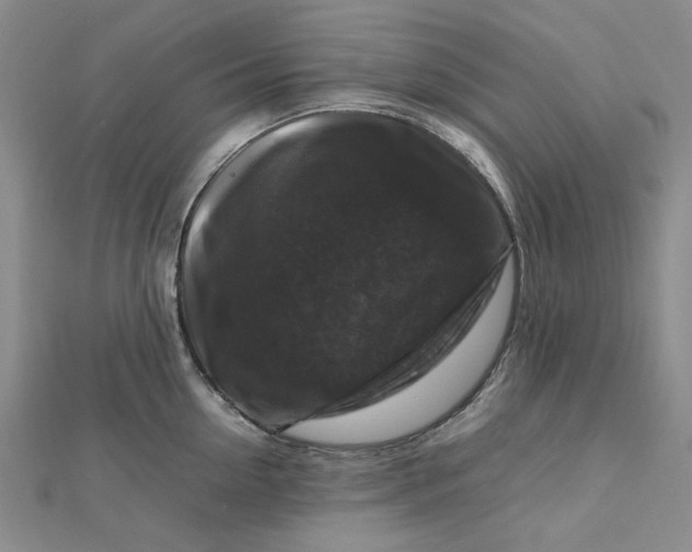 X0000112750954200909031524