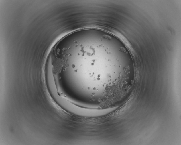 X0000112750955200909031524