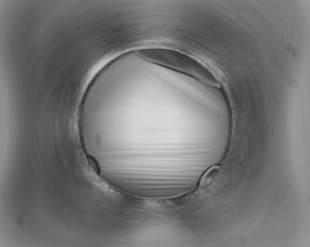 X0000112750960200909031524