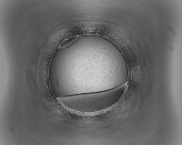 X0000112750961200909031523