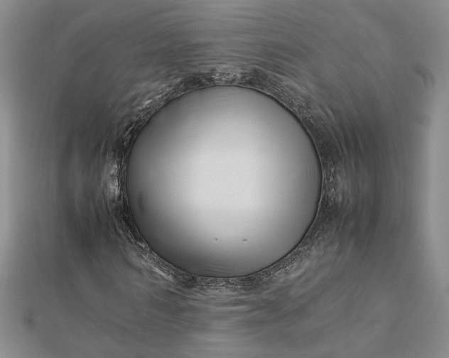 X0000112750962200909031523