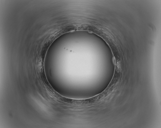 X0000112750963200909031523