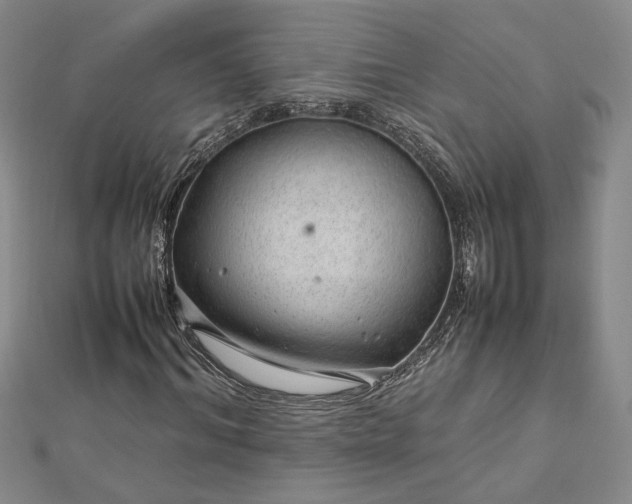 X0000112750964200909031523