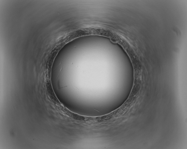 X0000112750965200909031523